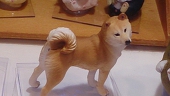 ししまる