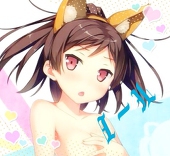 ノール