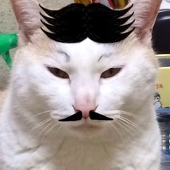 玉袋裏筋太郎
