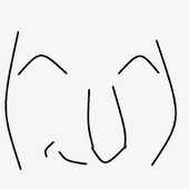 たぬこ