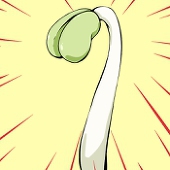 あんすい