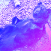 しんどう