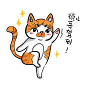 扬喵喵❤Wy