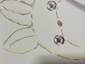 あおつき