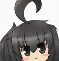 ドン旦那