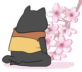 コシカ