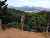 るな