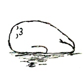ヒューイ