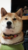 大福