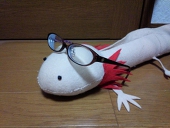 笹本阿木