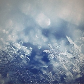 雪時雨