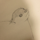 モッチ