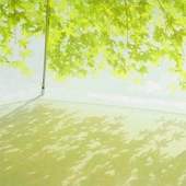 Mirror静