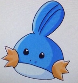 床