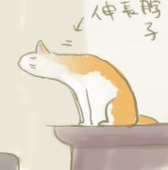 PYO