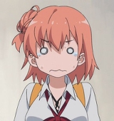 どんたこす