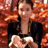 猫小姐