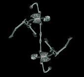 ＫＯＮＥＨＥＡＤ