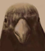 ケセラセラ