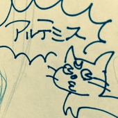 shima
