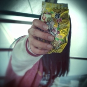 旬菊