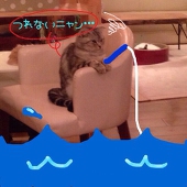 あおりんご