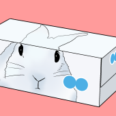 カズル