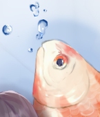 はんぶん