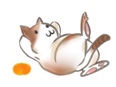 あぶら