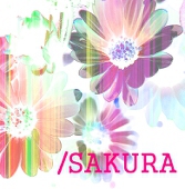 /SAKURA