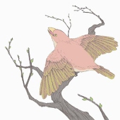 三郎丸