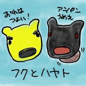あきれいゆ