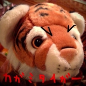 みやこ