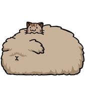 もふもふもふ