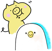 ちきん/どくみ