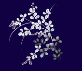 華