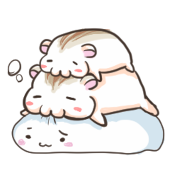 Mayu