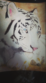 mytiger