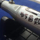ゆう菌類