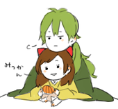 のら猫