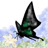 ・-Korge-・