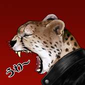 チーターQ