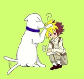 珂夜