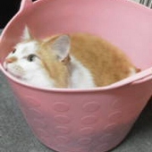三上