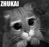 Kai Zhu祝凯