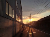 ライムの絞りカス