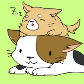 道中
