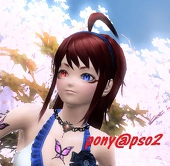 pony__w