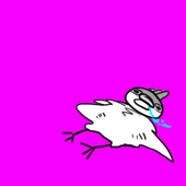 seaotter
