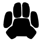 東ノラ犬
